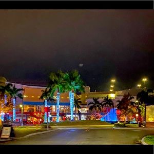 Meet your Posher, Sophia